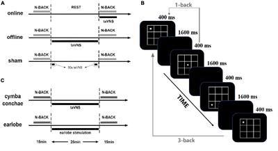 Transcutaneous Auricular Vagus Nerve Stimulation Improves Spatial Working Memory in Healthy Young Adults